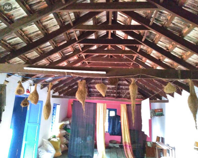 Couchsurfing in Coorg: My Experience in a Home Far From Home 3