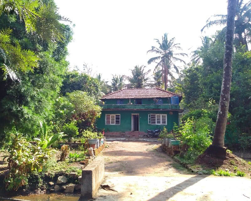 Couchsurfing in Coorg: My Experience in a Home Far From Home 4