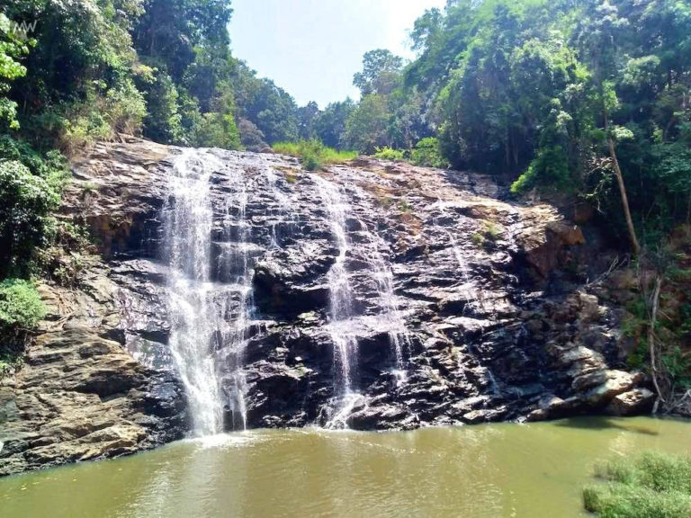 Abbey Waterfall - Places to Visit in Coorg