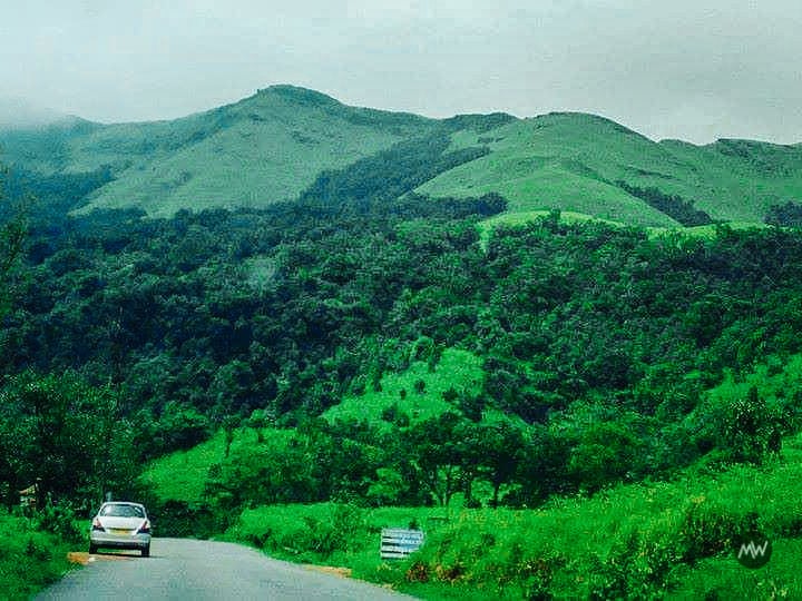 Kudremukh National Park — places to visit in Chikmagalur