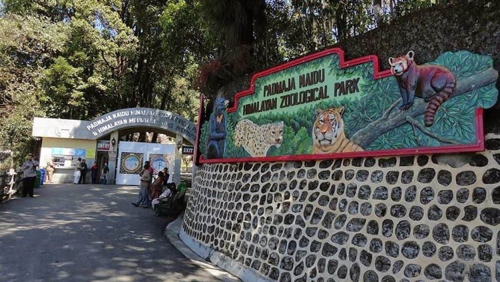 Padmaja Naidu Himalayan Zoological Park — Best Places to Visit in Darjeeling