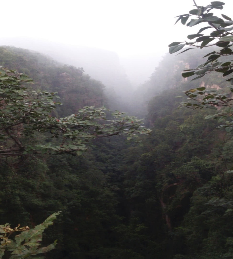 My Accidental Journey to Panchmarhi 4 My Accidental Journey to Panchmarhi 3