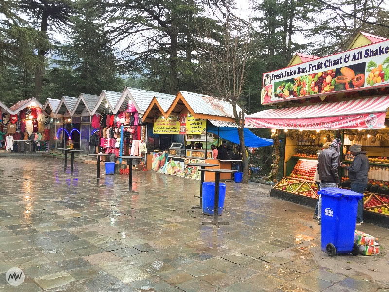 This is EXACTLY why you should visit Manali (+ some must see places) 14