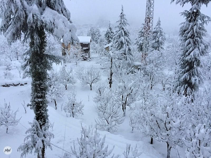 Snowfall in Manali: The Ultimate Guide You'll Ever Need 11 Snowfall in Manali: The Ultimate Guide You'll Ever Need 6
