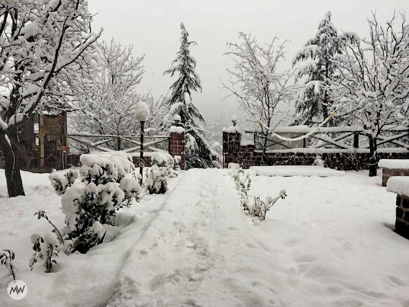 Snowfall in Manali: The Ultimate Guide You'll Ever Need 8 Our hostel garden after snowfall