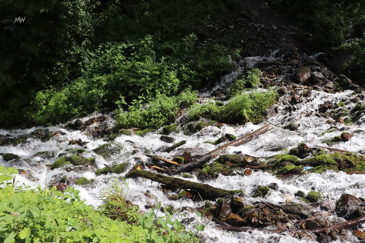 A waterfall on the way to Kheerganga