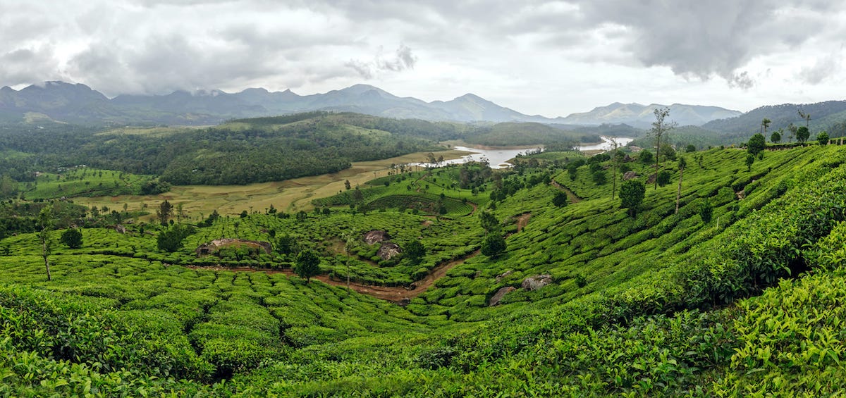 Top Romantic Destinations For Your Munnar Honeymoon