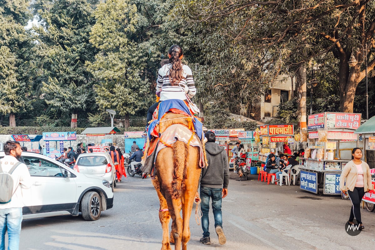 Udaipur Places to Visit & How to Have Memorable Trip 14 Camel Ride Fateh Sagar - Udaipur Places To Visit