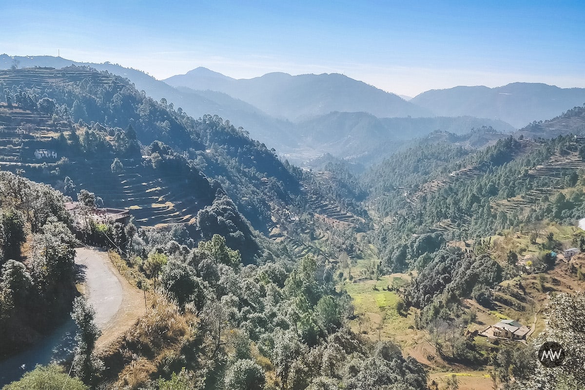 Mukteshwar Dham: My Travel Story of Quest to Attain Salvation 4 On the way to Mukteshwar, the scenes turn greener and serene - Mukteshwar Dham