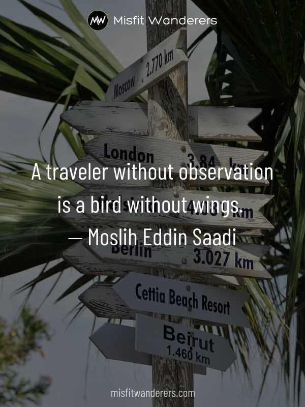 Observation - best travel quotes