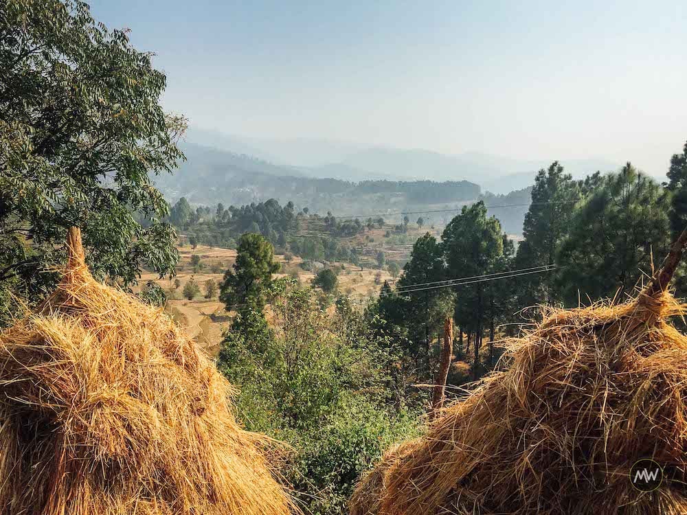 Kot Bhramari Temple is Where You Get 360° Views of Himalayas 2 Stockpiled dried grass on our way to Kot Bhramari Temple