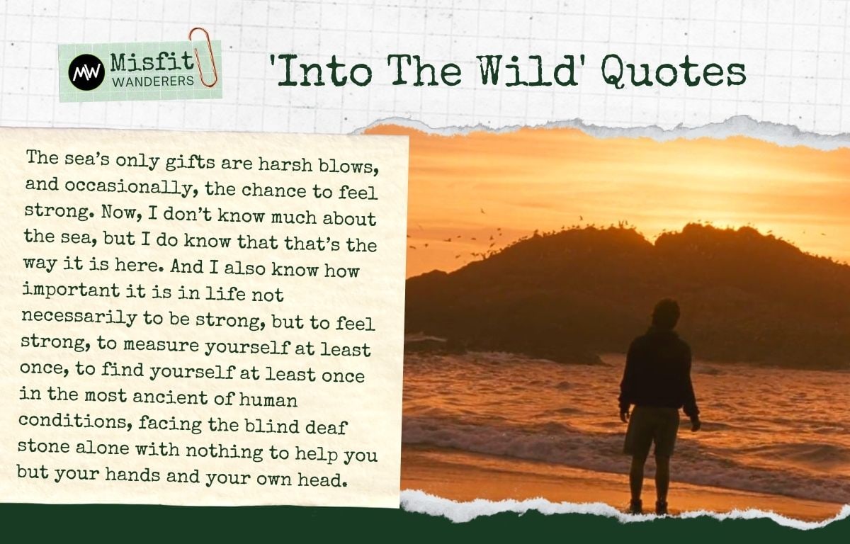 11-inspiring-into-the-wild-quotes-for-the-explorer-in-you