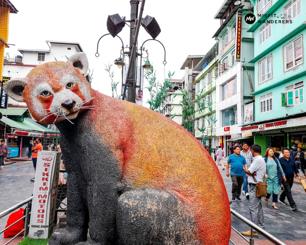 Red Panda @ MG Road - Best Places to Visit in Gangtok