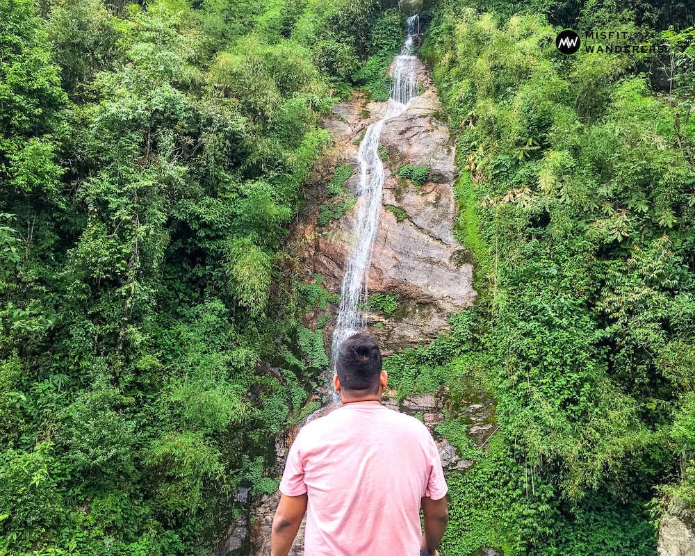 Waterfall Inside Plant Conservatory - Best Places to Visit in Gangtok